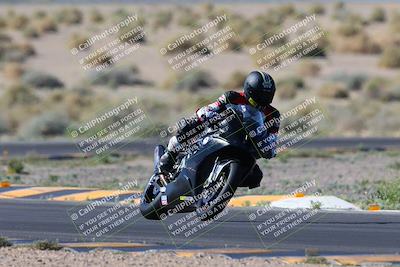 media/Apr-14-2024-SoCal Trackdays (Sun) [[70f97d3d4f]]/1-Turn 5 Tree of Life (920am)/